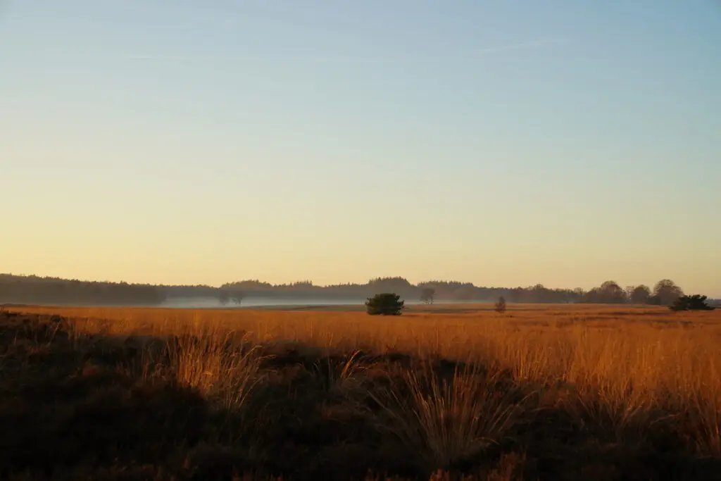 Wandelen op de Ginkelse Heide