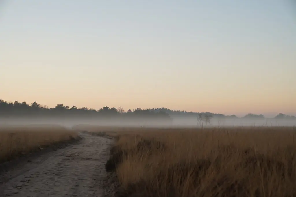 Wandelen op de Ginkelse Heide - 3