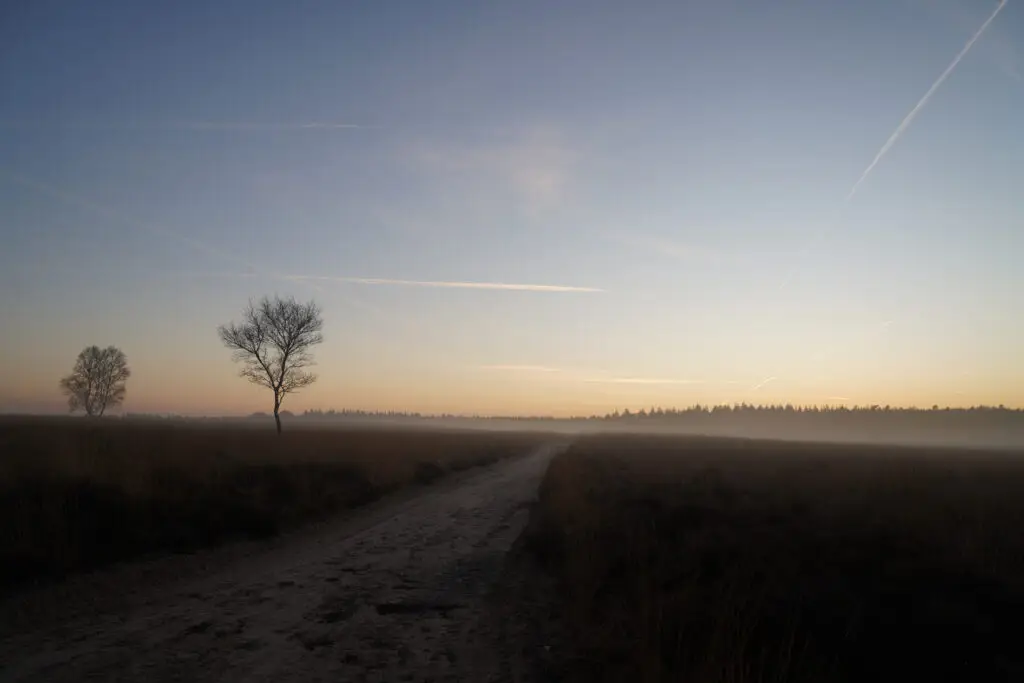 Wandelen op de Veluwe - 12