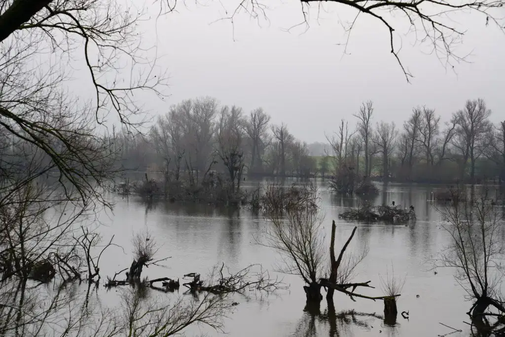 Wandelen Blauwe Kamer