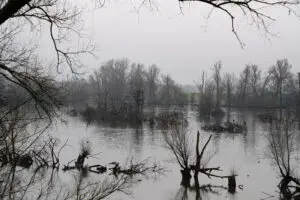Wandelen Blauwe Kamer
