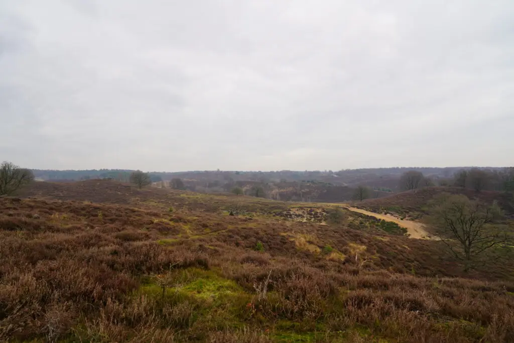 Wandelen op de Veluwe - 5