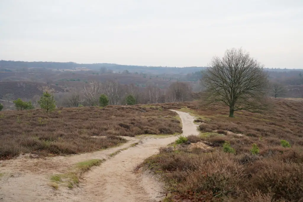 Wandeling op de Posbank