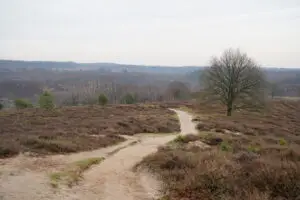 Wandeling op de Posbank