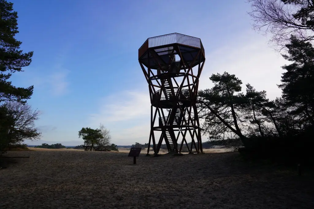 Wandelen op de Veluwe - 10