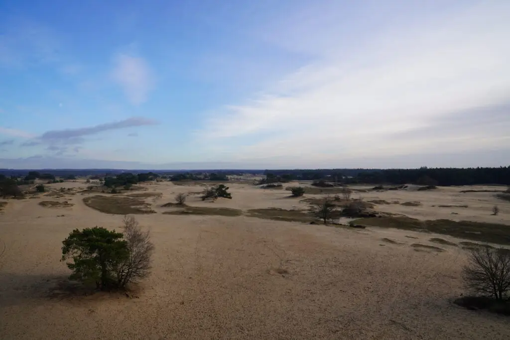 Wandelen op de Veluwe - 8
