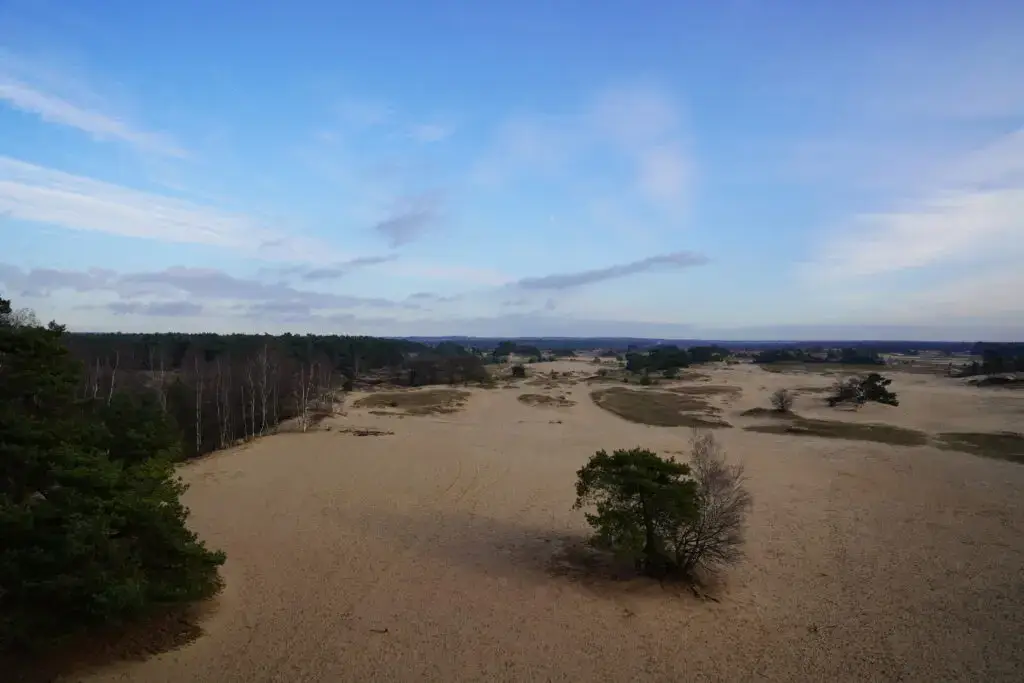 Wandelen Kootwijkerzand