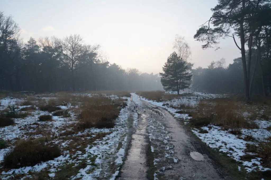Wandelen op de Veluwe - 2