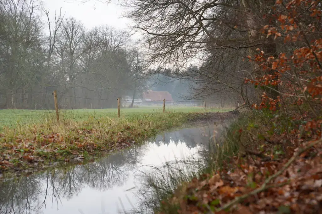 Wandelen in het Renkums Beekdal