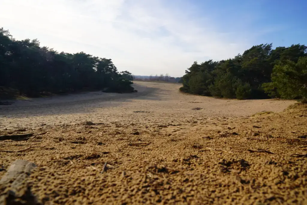 Wandelen Wekeromse Zand