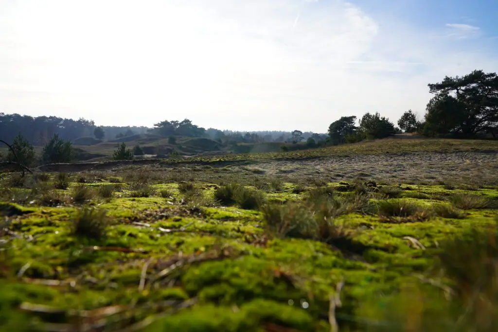 Wandelen Wekeromse Zand 1