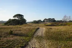Wandelen Wekeromse Zand 2