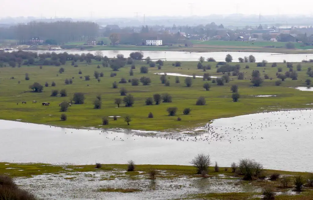 Wandelen Grebbeberg