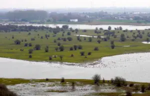 Wandelen Grebbeberg