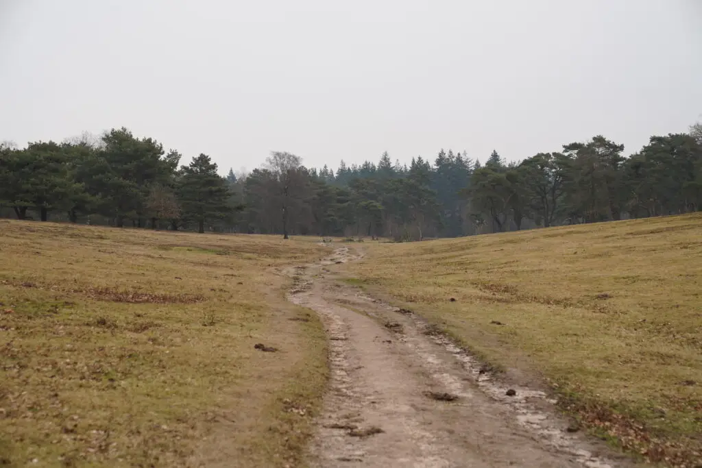 Wandelen Plantage Willem III - 1