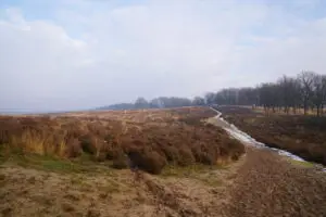 Natuur goede doelen