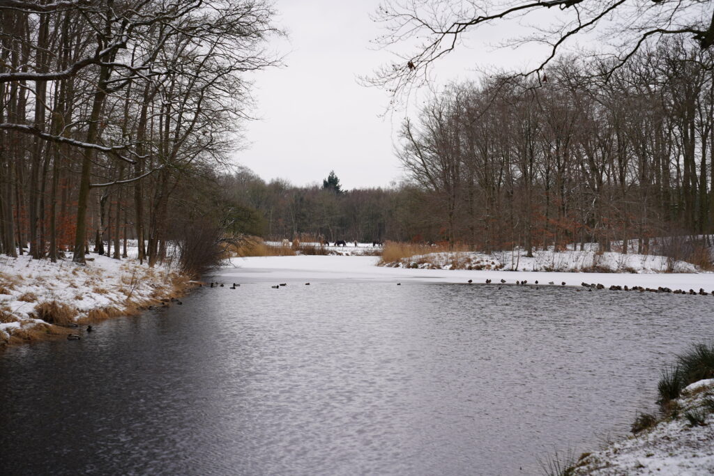 Landgoed Groeneveld aanglegd