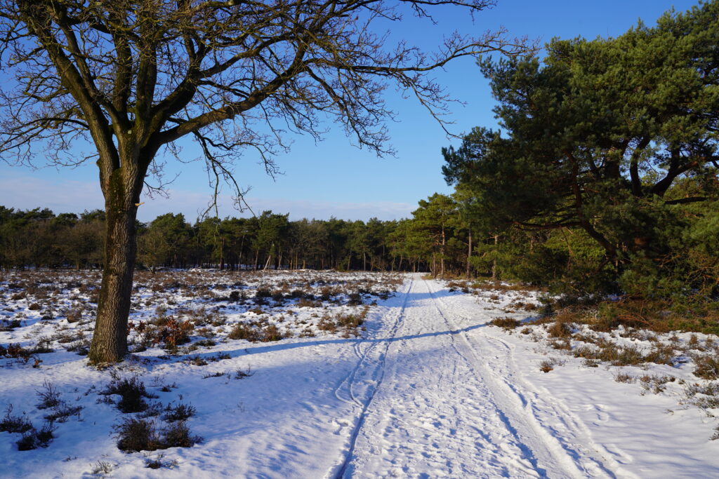 Zuiderheide Laren Hilversum