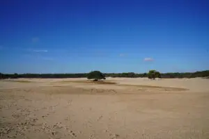 Wandelen Soesterduinen 4