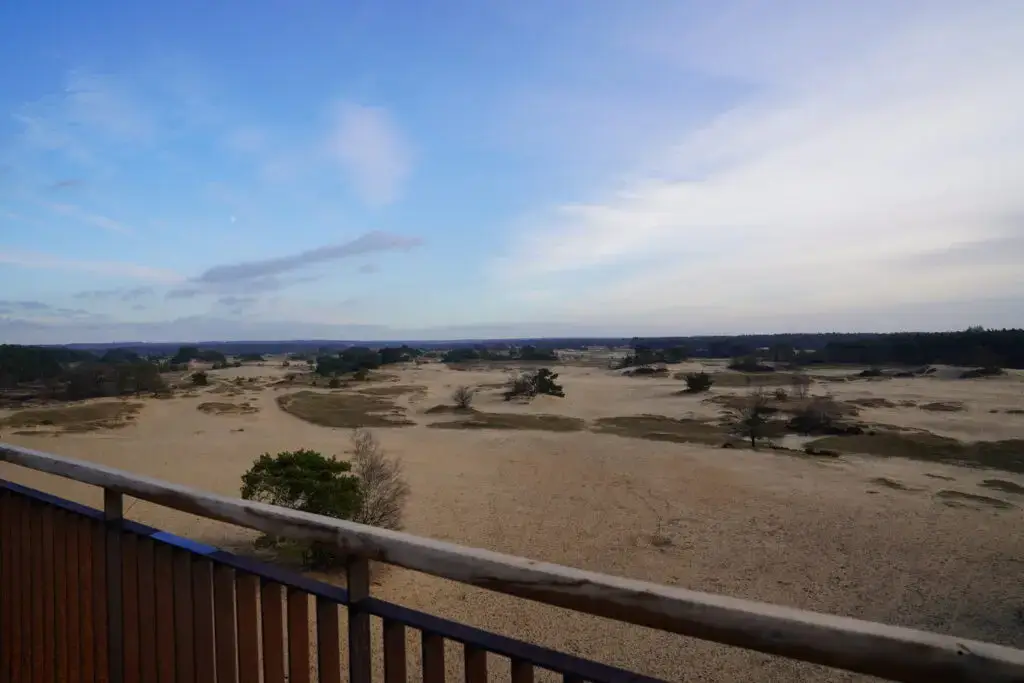 Uitzicht Kootwijkerzand vanaf De Zandloper