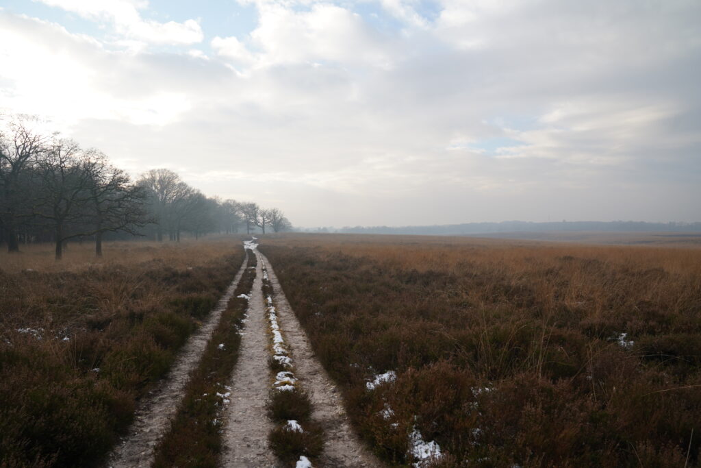 Over Ontdek de Natuur - Redactie