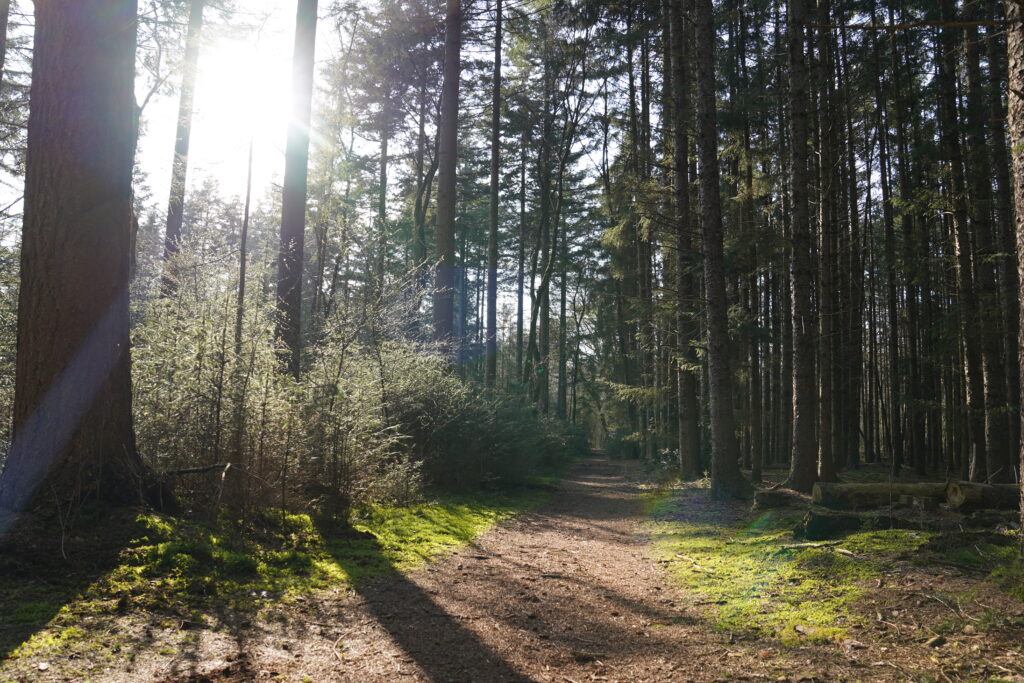 Boswachterij Amerongen