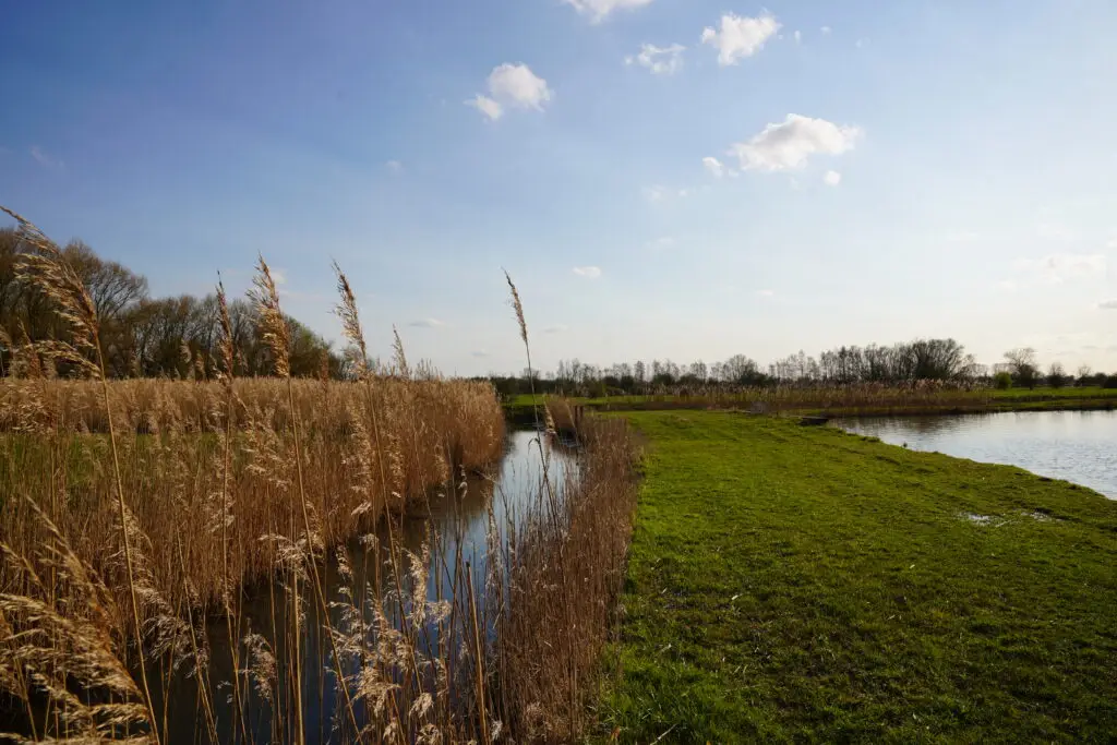 Onze favoriete wandelsites