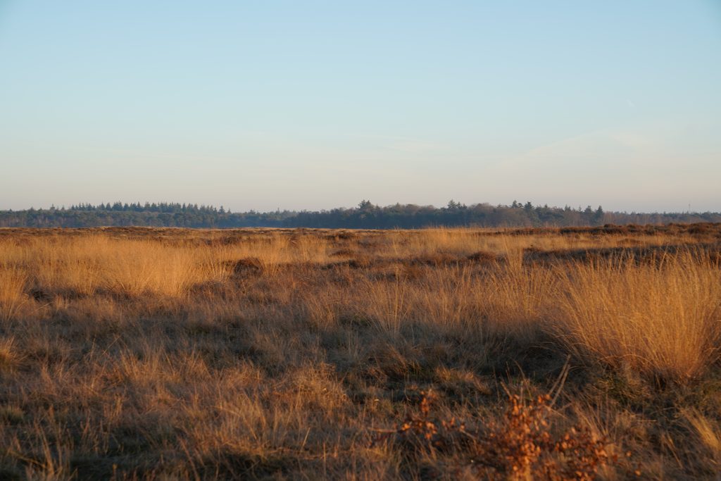 Vakantiepark Ginkelse Heide