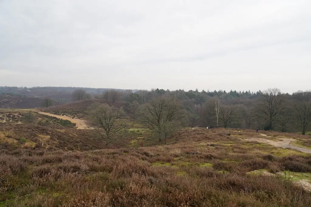 Vakantiepark in de buurt van de Posbank