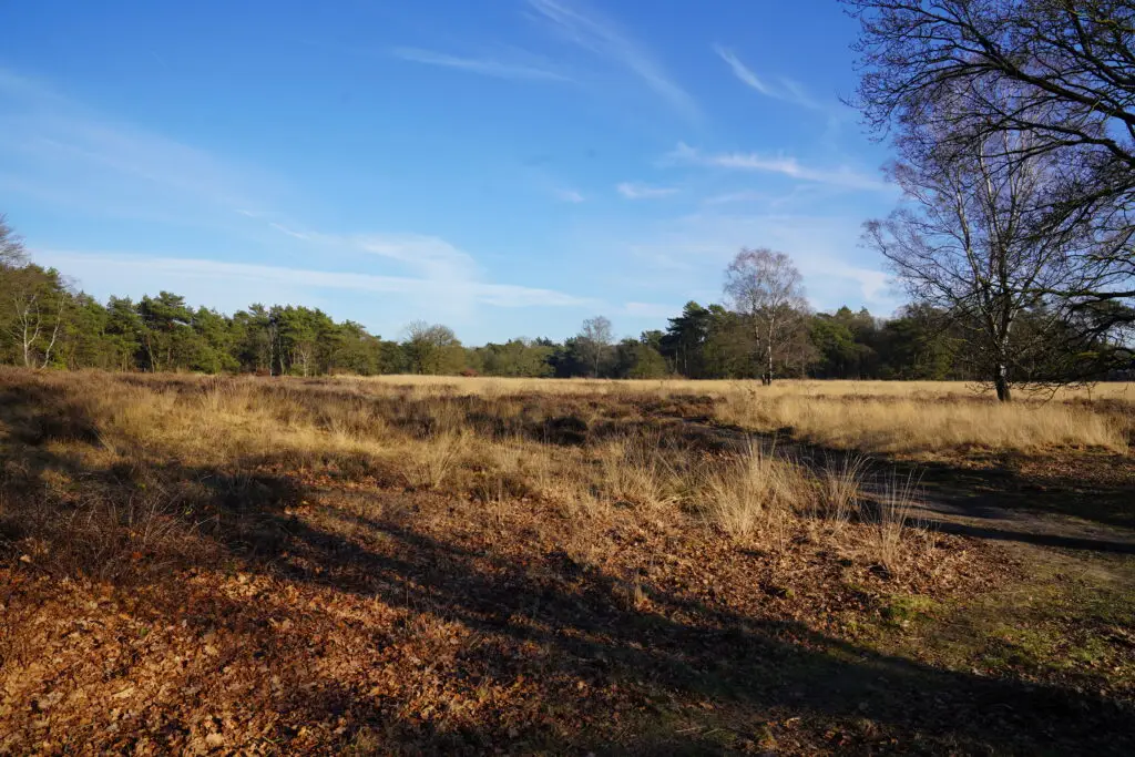 vakantieparken veluwe natuur