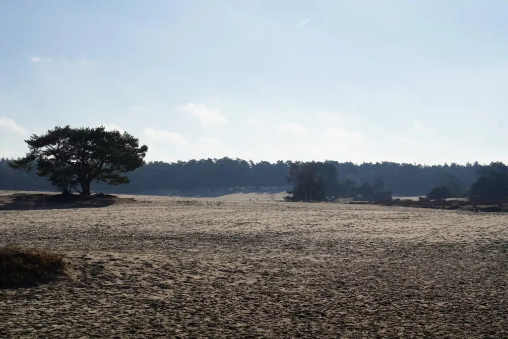 Ontstaan Soesterduinen