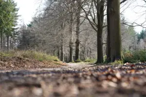Welke maat wandelschoenen