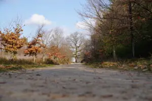 Waarom we massaal overstappen op lichtgewicht wandelschoenen