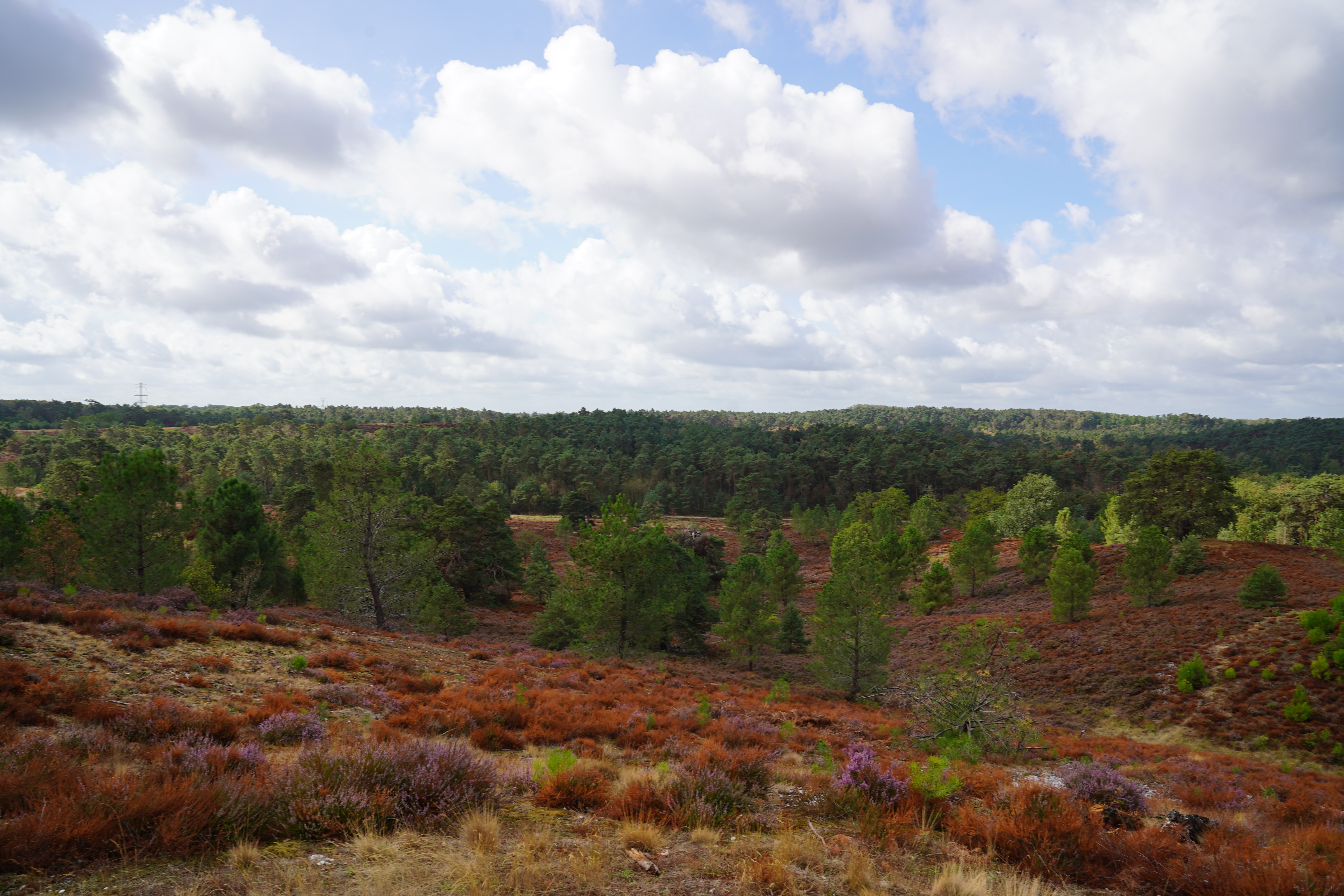 Heuvels Brunssumerheide