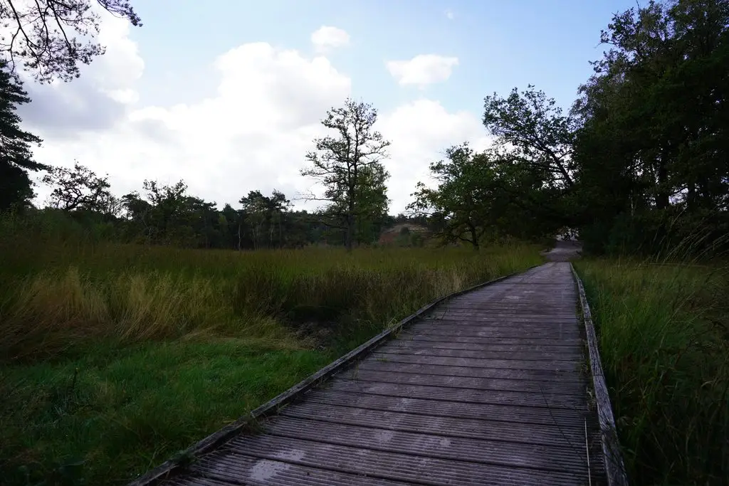 Vlonderpaden Brunssummerheide