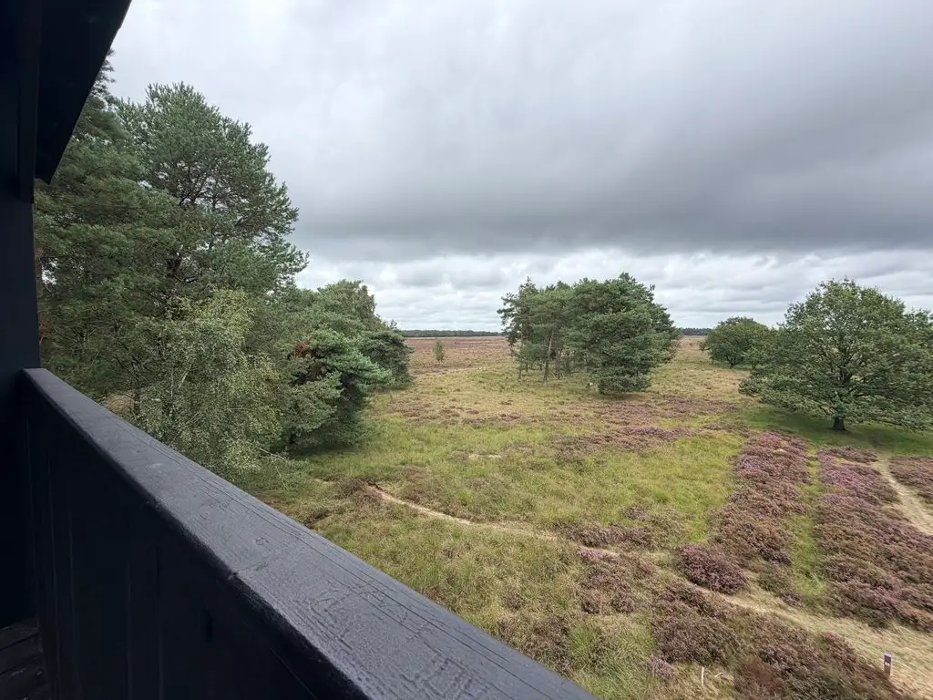 Uitkijkpunt Doldersummerveld