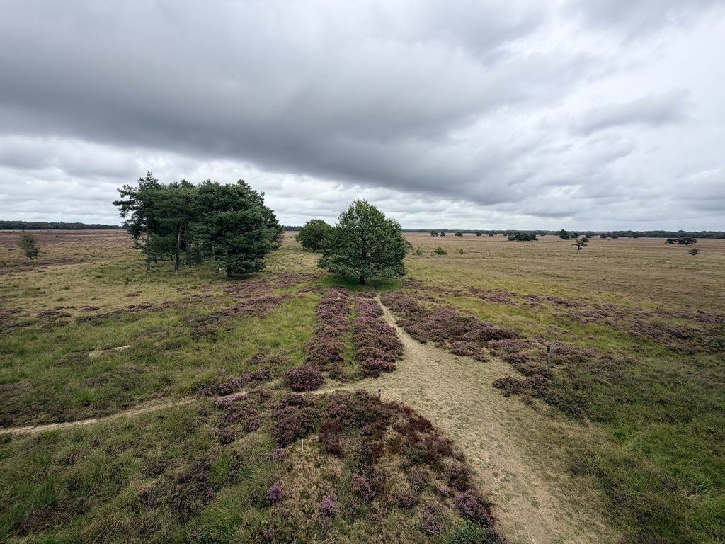 Heide Doldersummerveld